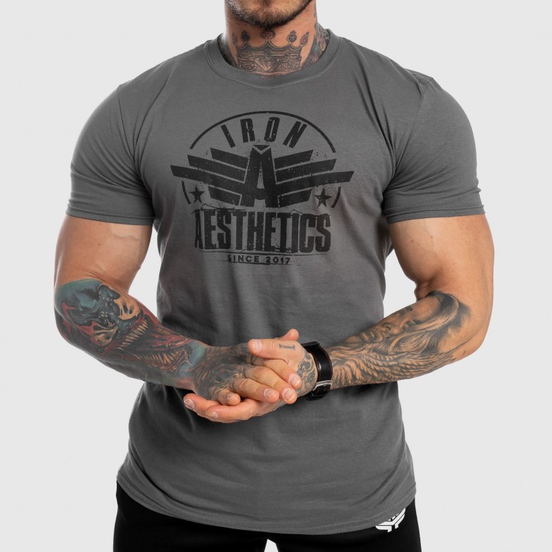 Férfi fitness póló Iron Aesthetics Force