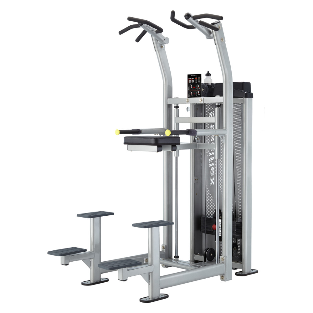 Multifunkciós húzódzkodó Steelflex Hope HCD2100 Chin/Dip Steelflex