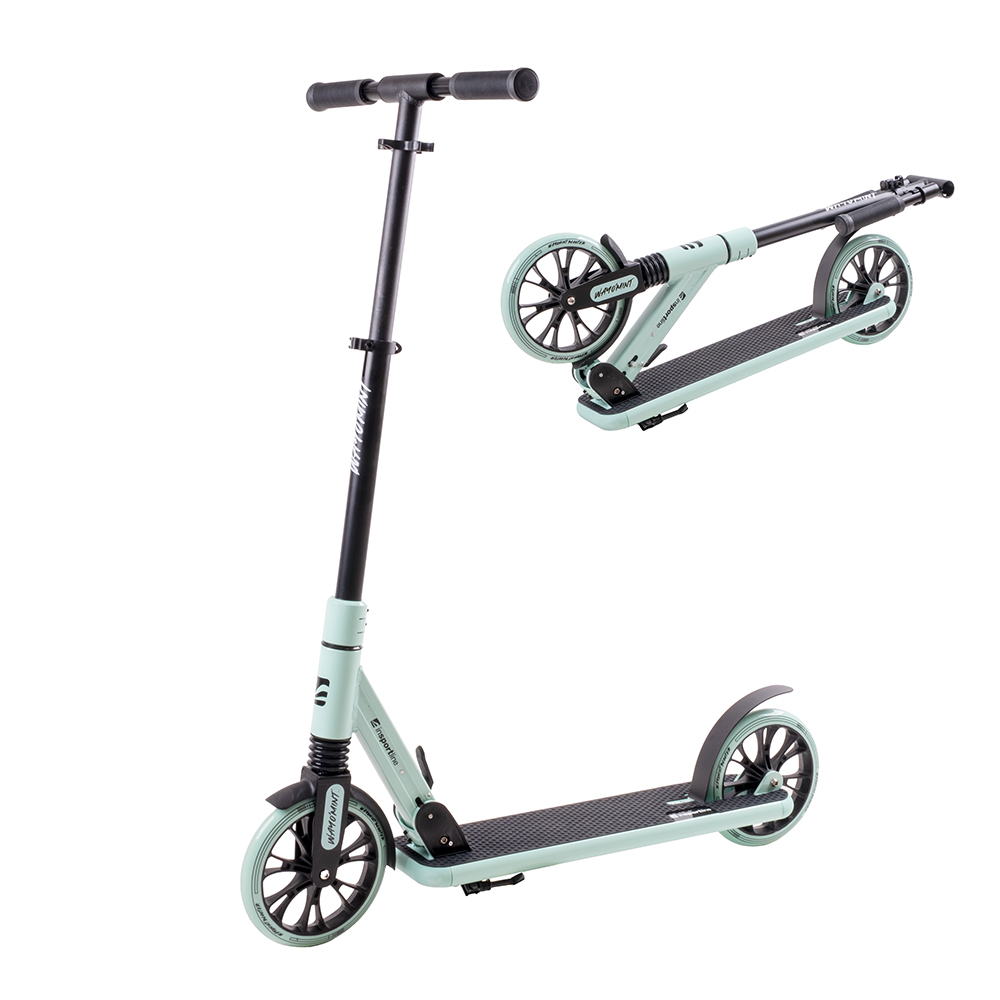 Roller inSPORTline Wayomint Insportline