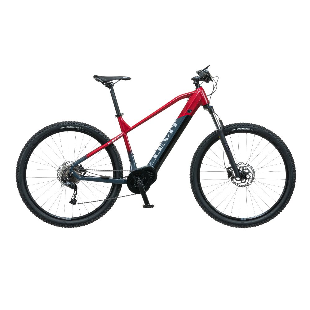 MTB ebike Levit Muan BF3 Overstep 630 29" - model 2024  Bordó Szürke Gyöngy  19" (175-185 cm) Levit